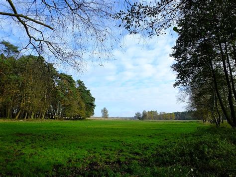 Wielkopolski Park Narodowy Wycieczka Ze St Szewa Do Mosiny Flickr