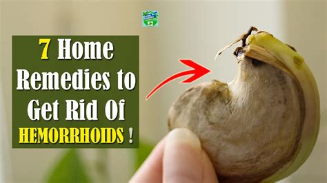 7 Home Remedies To Get Rid Of Hemorrhoids Youtube