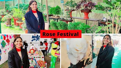 Rose Festival Chandigarh | Asia's largest Rose Garden | Festival, Rose ...