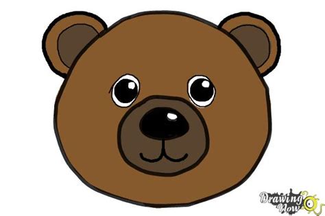 How to Draw a Bear Face - DrawingNow