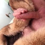 Dirty Diana Porn Videos Verified Pornstar Profile Pornhub