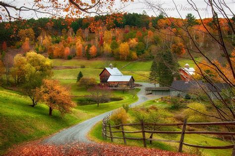 Sleepy Hollow Farm Woodstock Vermont Vermont Photography Fall