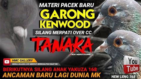 Garong Kenwood Silang Tanaka Merpati Kolong Merpati Lovers Rindu