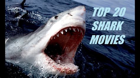 The Top 20 Shark Movies Youtube