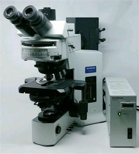 Fluorescence Microscopes and Accessories | Microscope Marketplace