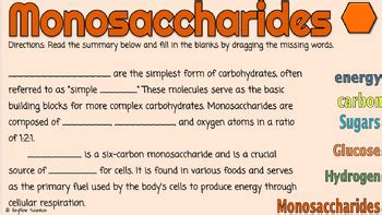 Carbohydrates Drag And Drop Google Slides By Hey Now Science Tpt