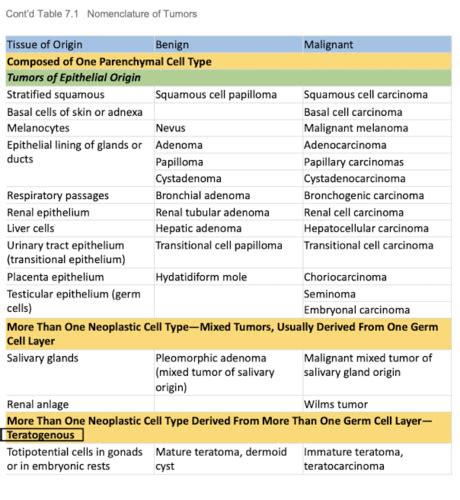 Characteristics Of Cancer Flashcards Quizlet