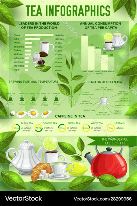 Tea Beverage Infographics Charts Graphs Royalty Free Vector