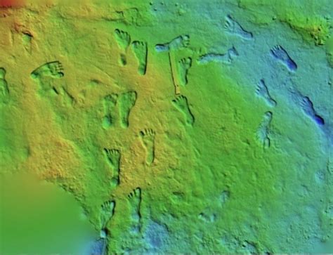 Scientists Confirm Age Of Oldest Human Footprints Found In North America