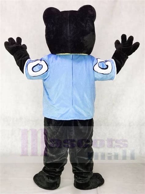 Sir Purr of the Carolina Panthers Mascot Costume from National Football ...