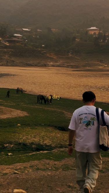 Never Regret A Day In Your Life😌 in 2024 | Good life quotes, Quotes ...