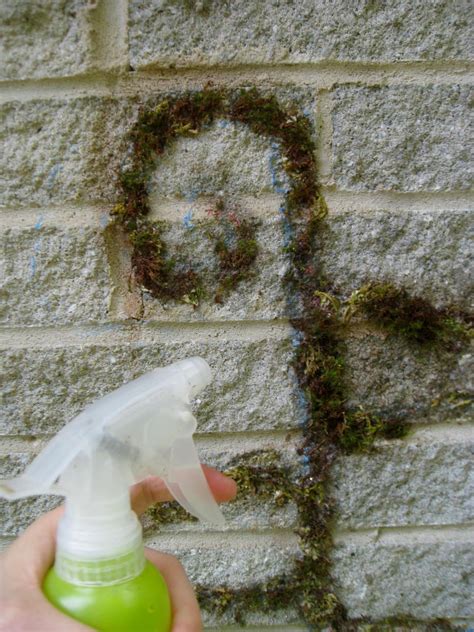 Make Some Moss Graffiti | HGTV