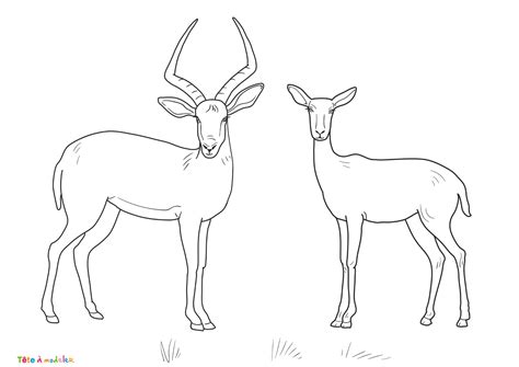 Coloriage antilope 05 un dessin à imprimer de Tête à modeler