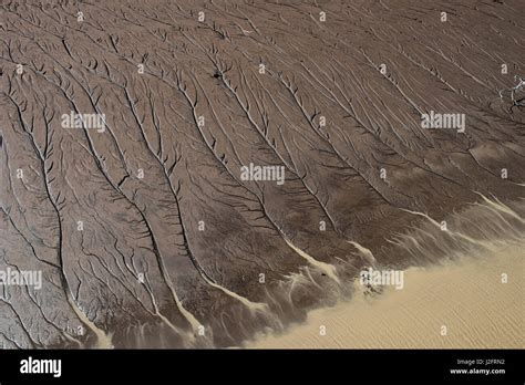 Shell Beach, North Guyana Stock Photo - Alamy