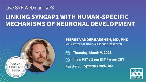 Srf Linking Syngap With Human Specific Mechanisms Of Neuronal