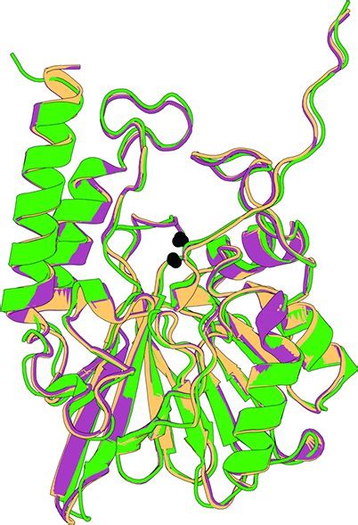 Figures And Data In Gating Interactions Steer Loop Conformational