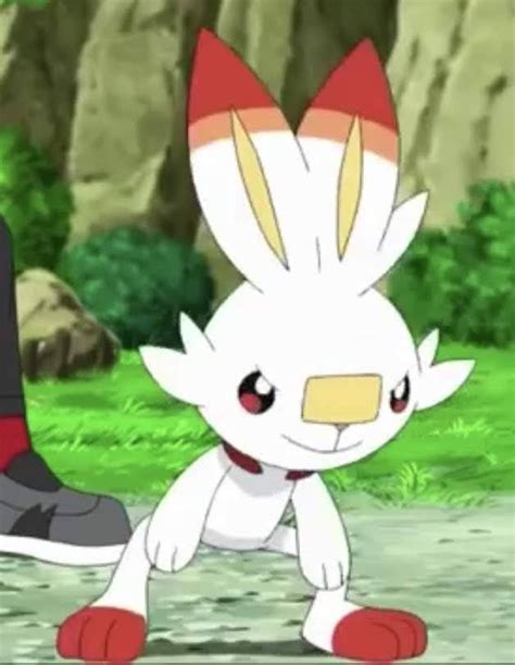 813 Scorbunny Screenshot Pokemon My Pokemon All Pokemon