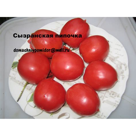 Сызранская пипочка