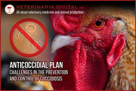 Anticoccidial Plan Challenges In The Prevention And Control Of Coccidiosis