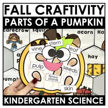 Parts Of A Pumpkin Pumpkin Craft Pumpkin Labeling Activity Fall