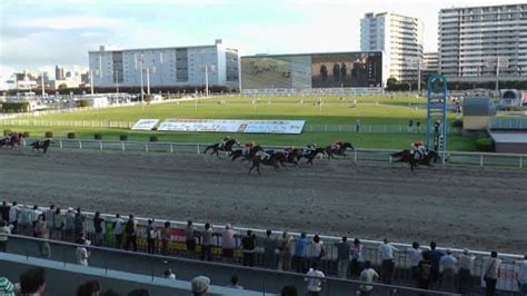 川崎競馬場で当てるコツを距離別で紹介！それぞれのコースの特徴を掴もう 競馬予想のコツって？ポイントや考え方を解説します！