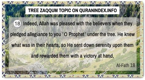 Discover Quran Verses about #Tree zaqqum @ https://quranindex.info ...