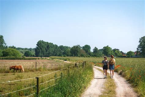 Van Wieze Naar Denderbelle Wandelroute Wandelknooppunt Be