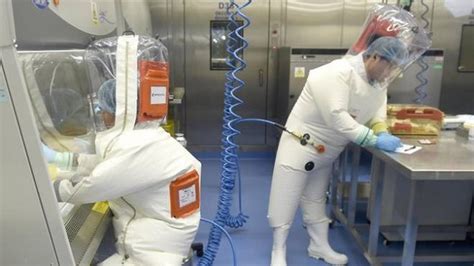 Coronavirus Stato Creato In Laboratorio A Wuhan Ecco Cosa Ha Detto