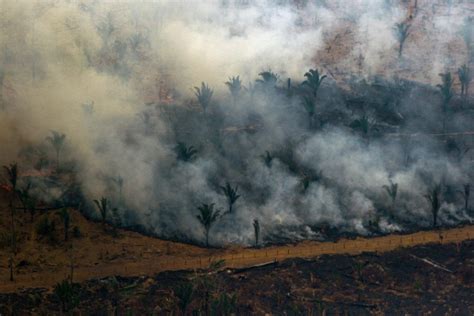 D Forestation Millions D Hectares Perdus Sur Les Principaux Fronts