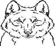 Coloriage Loup Gris Maternelle Jecolorie