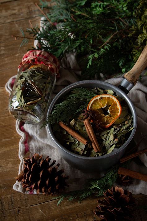 Handmade Holiday Simmer Pot Gift — Under A Tin Roof