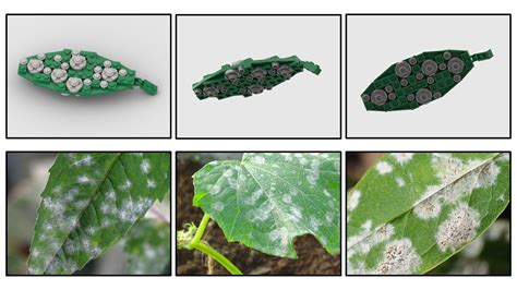 January 2024 New Kits On The Block Plant Disease Diagnostics Clinic