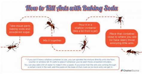 How To Kill Ants With Baking Soda The Safe And Non Toxic Way Chattersource