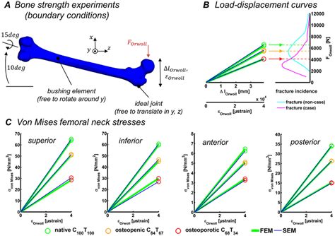 Evaluation Of Bone Quality Parameters A The Boundary Conditions Of