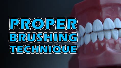 Proper Brushing Technique How To Brush Your Teeth Youtube