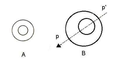 Esquema De Los Dos Tipos De Tub Rculos Dibujados Con Su Tama O