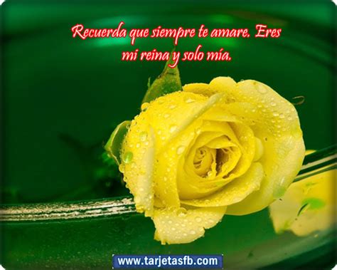 Imagenes De Amor Con Flores Amarillas Para Facebook