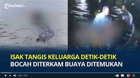 Isak Tangis Keluarga Detik Detik Jasad Habil Bocah Diterkam Buaya Di