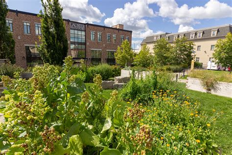 Brantford Campus | Future Undergraduate Students | Wilfrid Laurier ...