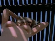 Sin Lenee nude pics página 1