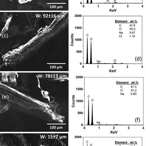 Elemental Composition By Sem Eds Analysis With Sem Secondary Electron