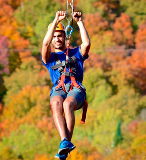 Zipline Mont Catherine 2h30 4 Ziplines Mont Tremblant Activities