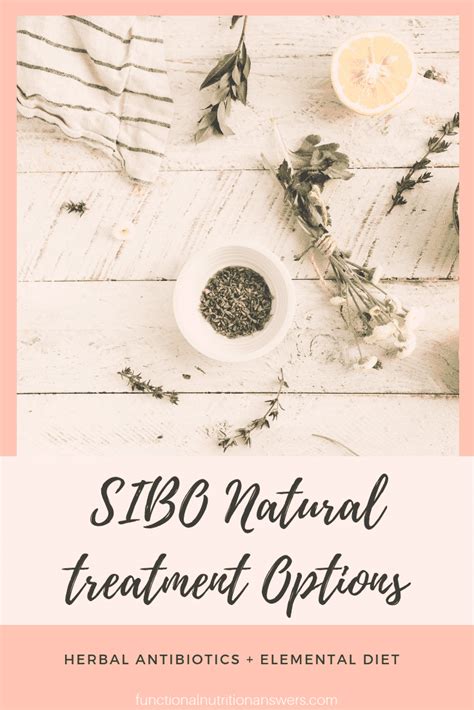 The Best SIBO Natural Treatment Options - Functional Nutrition Answers