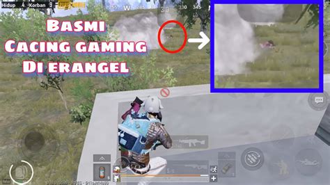 Basmi Cacing Gaming Erangel Pubg Mobile Youtube