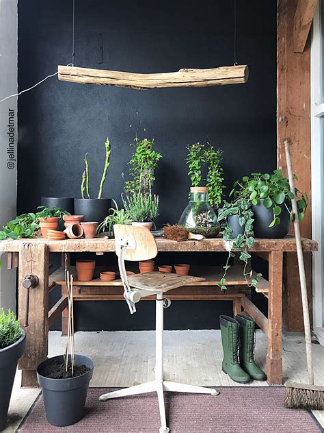 Tuin Binnenkijken Bij Jellinadetmar Kamerplant Decor Decoraties