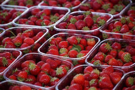 El Nutricionista Pablo Ojeda Confiesa Qu Fruta No Comprar A Jam S Marca