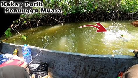 Mancing Kakap Putih Di Muara Pakai Pelampung Mancing Di Muara YouTube