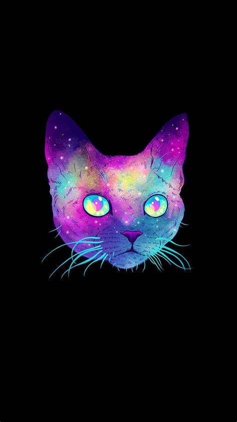 Space Cat Iphone Wallpaper 79 Images