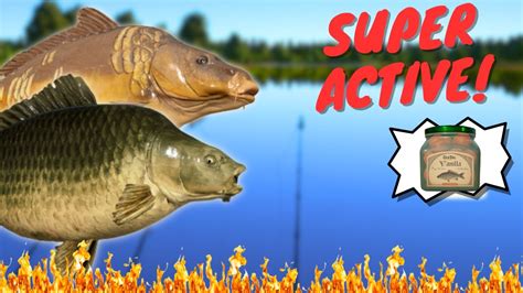 Super Active Carp Spot In Amber Lake Russian Fishing Youtube