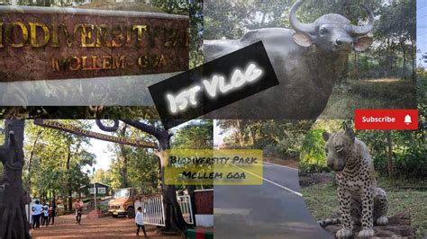 Vlog Goa Biodiversity Park Mollem Youtube